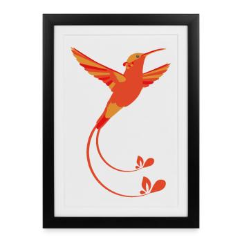 Couleurs de feu colibri - Affiche encadrée (27 × 37 cm) - noir - Devant