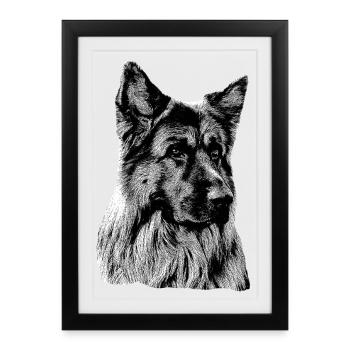 Schäferhund Deutscher Schäferhund German Shepherd - Framed poster (27 × 37 cm) - black - Front