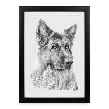 Old German Shepherd German Shepherd - Framed poster (27 × 37 cm) - black - Front