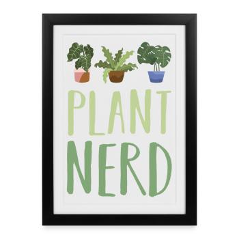 Plantes Végétales - Affiche encadrée (27 × 37 cm) - noir - Devant