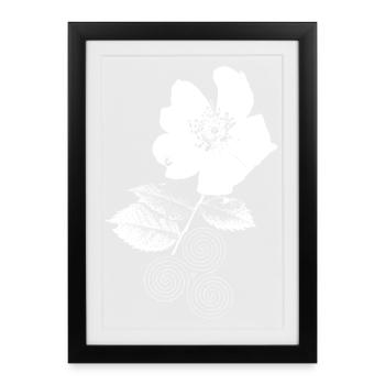 Wild Rose with Triskelion Spiral Trinity Flower - Framed poster (27 × 37 cm) - black - Front