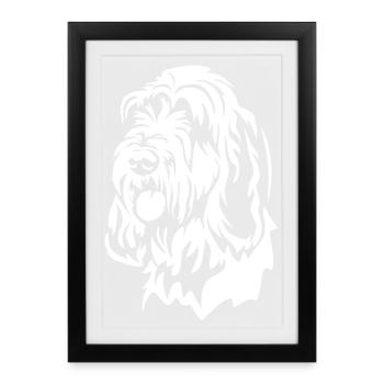 Tête Spinone Italiano « Black Edition » - Affiche encadrée (27 × 37 cm) - noir - Devant