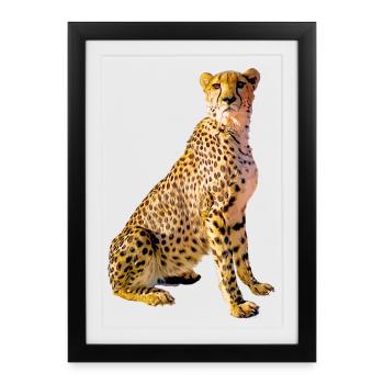 Portrait de guépard Taches dorées - Affiche encadrée (27 × 37 cm) - noir - Devant