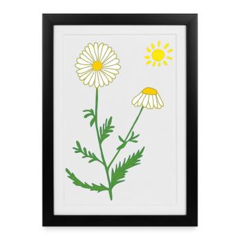 Camomille avec soleil - Affiche encadrée (27 × 37 cm) - noir - Devant