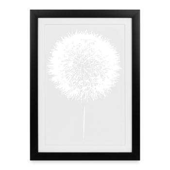 Dandelion Dandelion Seeds - Framed poster (27 × 37 cm) - black - Front