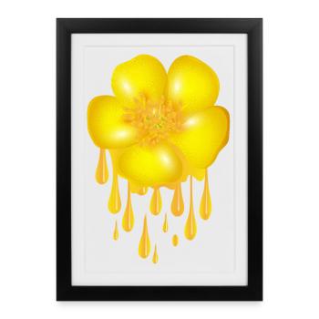 Renoncule jaune vif à effet dégoulinant - Affiche encadrée (27 × 37 cm) - noir - Devant