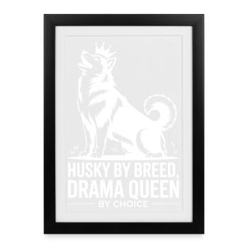 Husky By Breed Drama Queen By Choice  - Framed poster (27 × 37 cm) - black - Front
