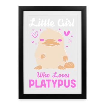 ornithorynque - Affiche encadrée (27 × 37 cm) - noir - Devant