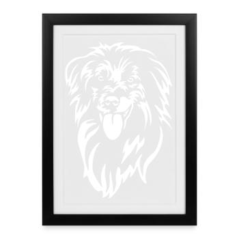 Berger des Pyrénées Head "Black Edition" - Framed poster (27 × 37 cm) - black - Front