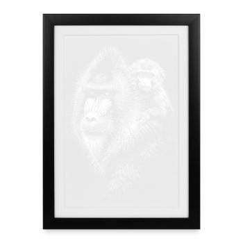 Mandrill - Affiche encadrée (27 × 37 cm) - noir - Devant