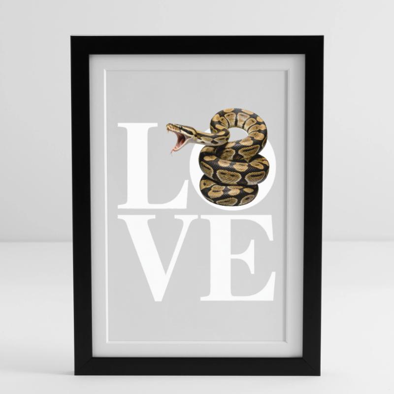 Königspython Schlangen LOVE Terrarium Python Gerahmtes Poster (27 × 37 cm)