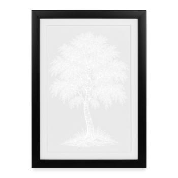 Birch - Framed poster (27 × 37 cm) - black - Front