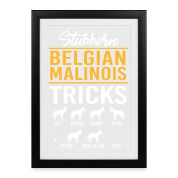Belgischer Malinois - Gerahmtes Poster (27 × 37 cm) - Schwarz - Vorne