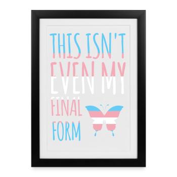 Mois de la fierté LGBT - Transgenre - Affiche encadrée (27 × 37 cm) - noir - Devant