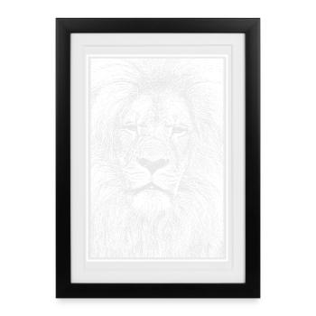Magnificent lion - Framed poster (27 × 37 cm) - black - Front