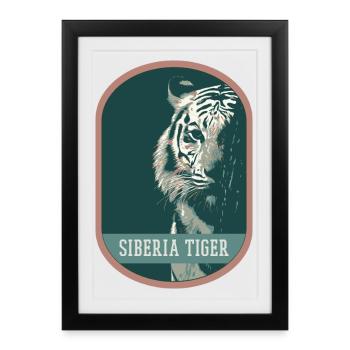 Écusson portrait Tigre Bengale : Faune Indienne - Affiche encadrée (27 × 37 cm) - noir - Devant