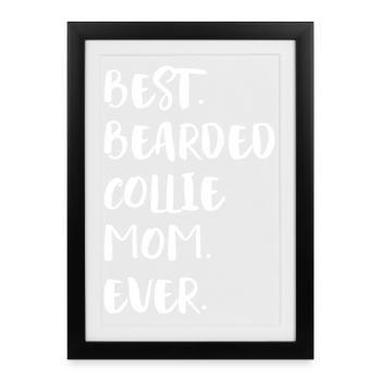 Collie barbu - Affiche encadrée (27 × 37 cm) - noir - Devant
