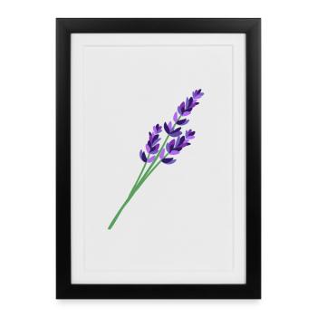 Lavande 1 - Affiche encadrée (27 × 37 cm) - noir - Devant