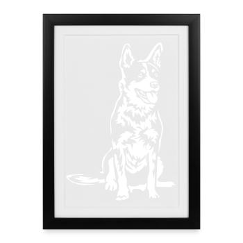 Australian Cattle Dog "Black Edition" - Framed poster (27 × 37 cm) - black - Front