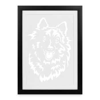 Wolfsspitz Head « Black Edition » - Affiche encadrée (27 × 37 cm) - noir - Devant