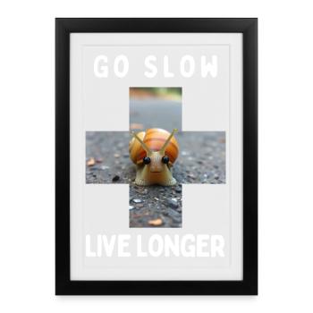 Go slow - Framed poster (27 × 37 cm) - black - Front