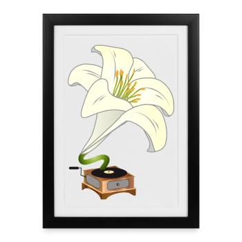 Le lys comme gramophone – Design floral nostalgique - Affiche encadrée (27 × 37 cm) - noir - Devant