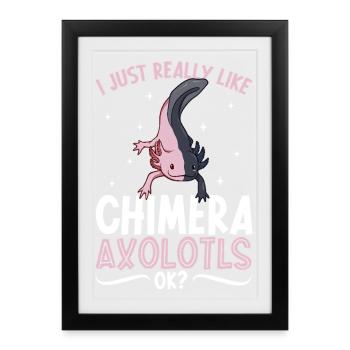 J’adore mon axolotl Chimère - Affiche encadrée (27 × 37 cm) - noir - Devant