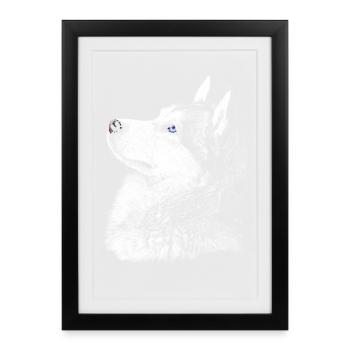 husky - Framed poster (27 × 37 cm) - black - Front