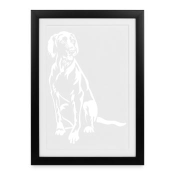 Magyar Vizsla "Black Edition" - Framed poster (27 × 37 cm) - black - Front