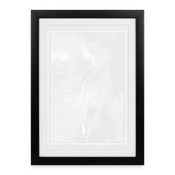 Eléphant blanc - Affiche encadrée (27 × 37 cm) - noir - Devant