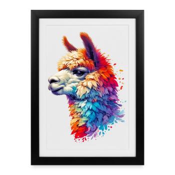 Alpaga - Affiche encadrée (27 × 37 cm) - noir - Devant