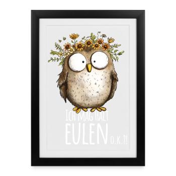 Eule mit Spruch Ich Mag Halt Eulen - Gerahmtes Poster (27 × 37 cm) - Schwarz - Vorne