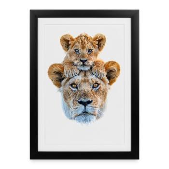 Mother lion with cub - Framed poster (27 × 37 cm) - black - Front