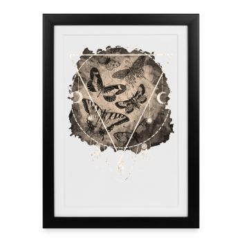 Papillons Vintage - Affiche encadrée (27 × 37 cm) - noir - Devant