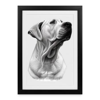 Dogo Argentino - Framed poster (27 × 37 cm) - black - Front