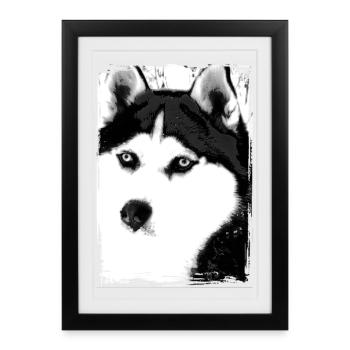 Black and white Husky portrait on textile - Framed poster (27 × 37 cm) - black - Front