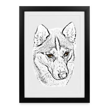 Wolfskopf Line Study - Framed poster (27 × 37 cm) - black - Front