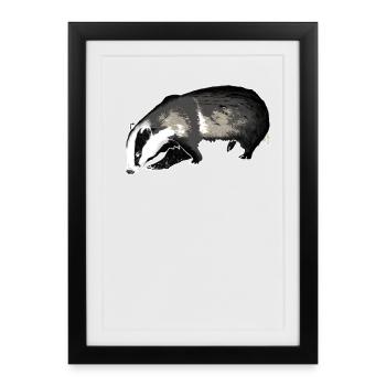 blaireau - Affiche encadrée (27 × 37 cm) - noir - Devant