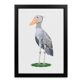 Steffen, bec de la chaussure - Affiche encadrée (27 × 37 cm) - noir - Devant