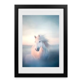 Cheval - Affiche encadrée (27 × 37 cm) - noir - Devant