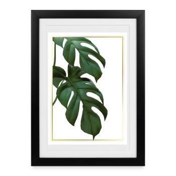 Monstera Tropical Leaves in Gold Frame - Framed poster (27 × 37 cm) - black - Front