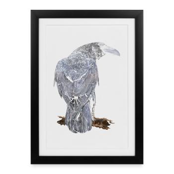 Crow - Framed poster (27 × 37 cm) - black - Front