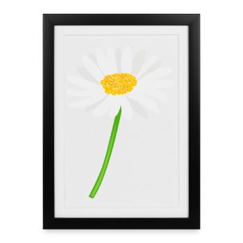 Marguerite fleur avec tige - Affiche encadrée (27 × 37 cm) - noir - Devant