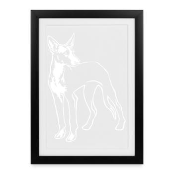 Podenco "Black Edition" - Affiche encadrée (27 × 37 cm) - noir - Devant