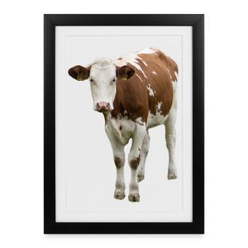 Vache - Affiche encadrée (27 × 37 cm) - noir - Devant
