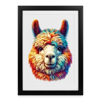 Alpaga - Affiche encadrée (27 × 37 cm) - noir - Devant