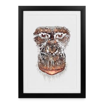Monkey - Framed poster (27 × 37 cm) - black - Front