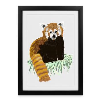 Red panda bear sitting on hay - Framed poster (27 × 37 cm) - black - Front