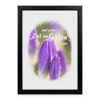 Profitez à nouveau du temps dans le jardin crocus fleur violette - Affiche encadrée (27 × 37 cm) - noir - Devant