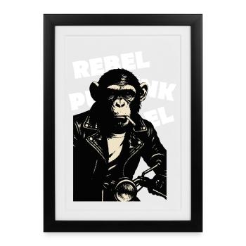 Rebellious Monkey on the motor - Framed poster (27 × 37 cm) - black - Front
